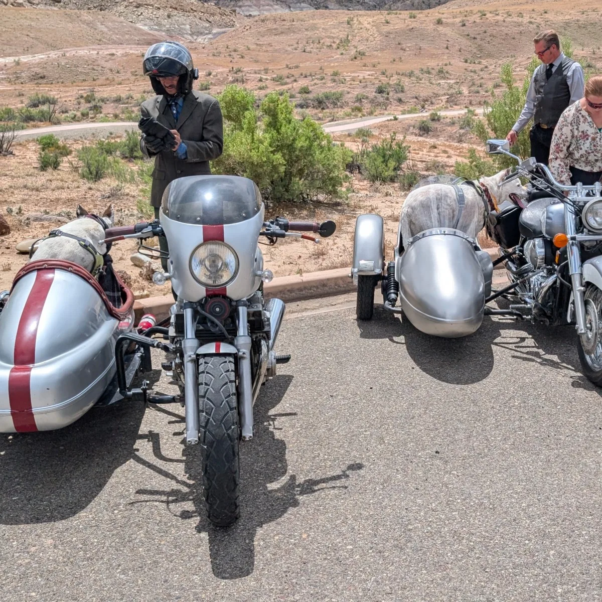 classic motorcycles with side cars and dogs 